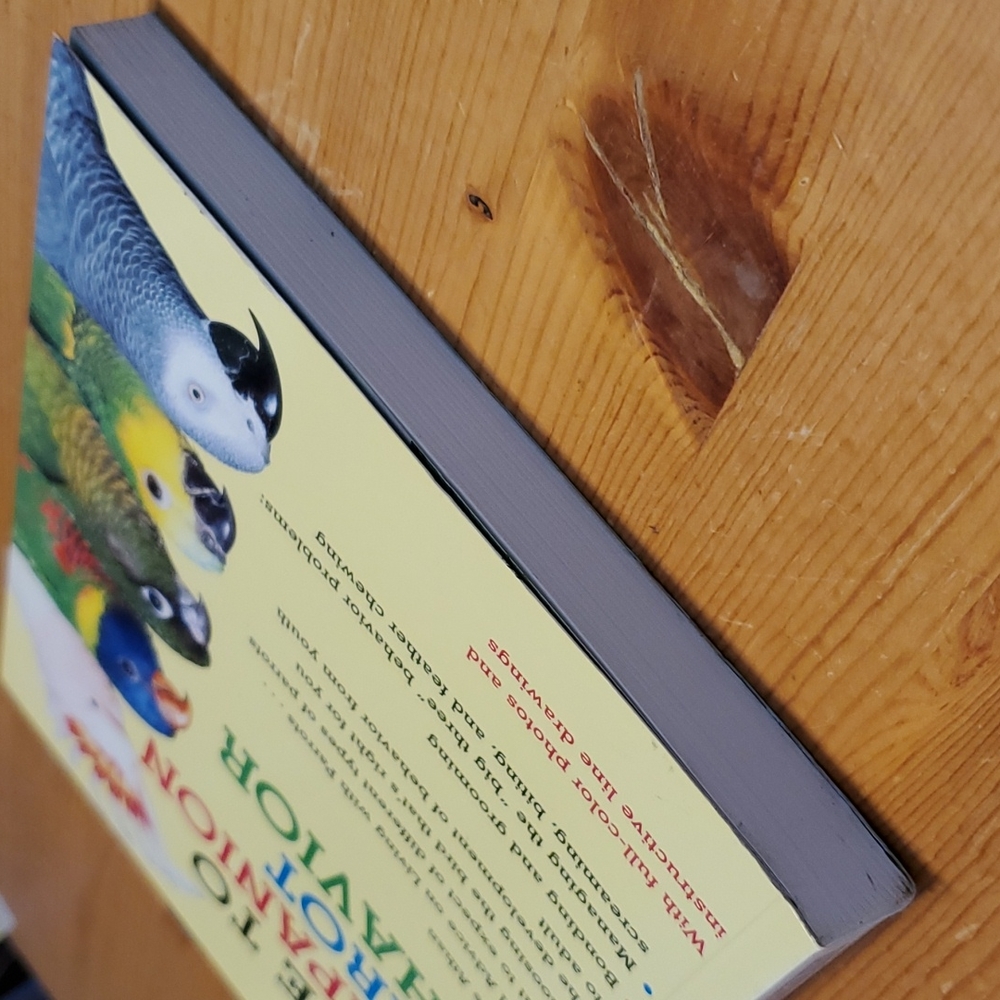 Guide To Companion Parrot Behavior - Picture 5 of 9